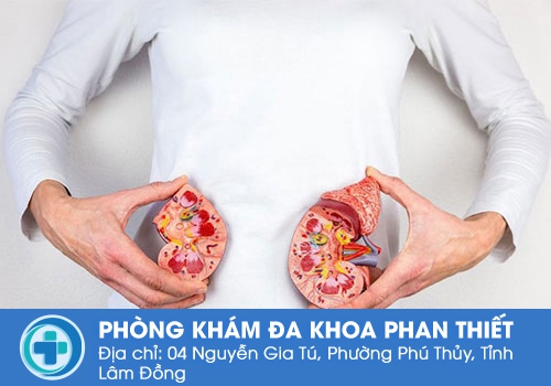 Suy thận mạn tính, làm sao tránh? Suy thận mạn tính, làm sao tránh?