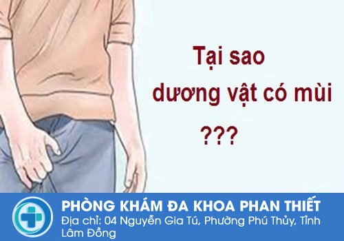 Nguyên nhân khiến dương vật có mùi hôi khó chịu Tại sao dương vật có mùi hôi ?