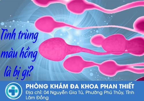 Tinh trùng màu hồng là bị gì?