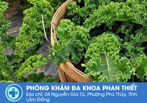 Ai không nên ăn cải xoăn, loại rau được mệnh danh siêu thực phẩm? Ai không nên ăn cải xoăn, loại rau được mệnh danh siêu thực phẩm?